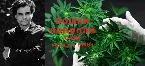 бошки Верхний Тагил
